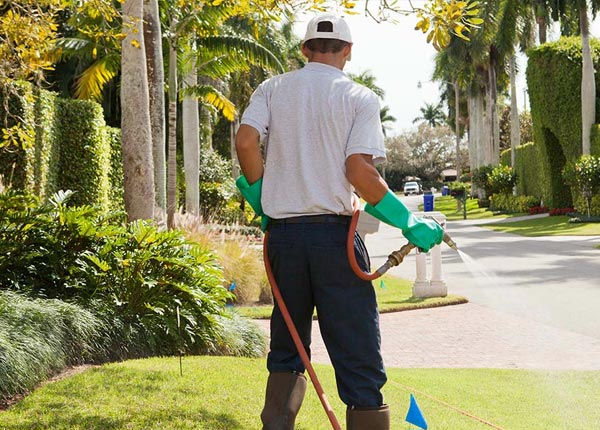 About Aspen CO Pest Control